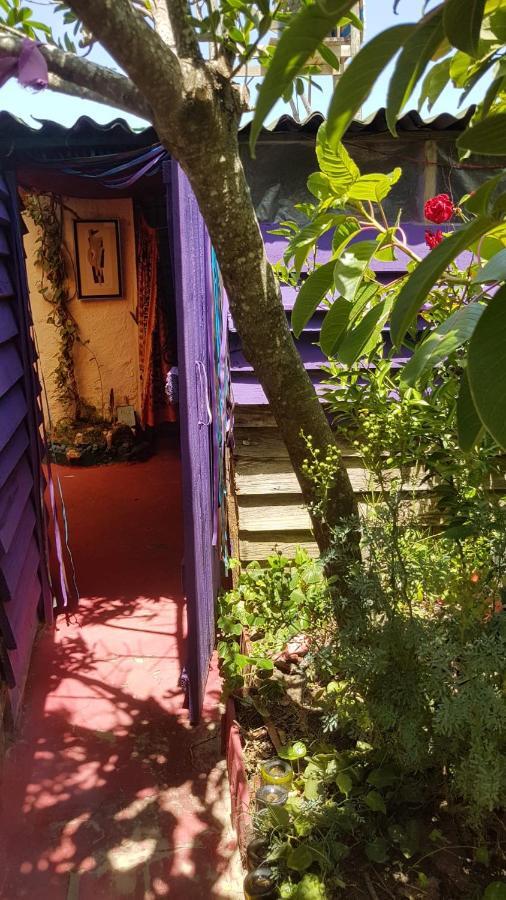 Ajo Aloha Hostel Cabo Polonio Ngoại thất bức ảnh